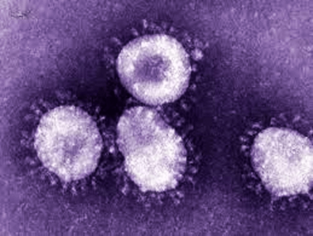 MERS Coronavirus in South Korea — What’s the deal?